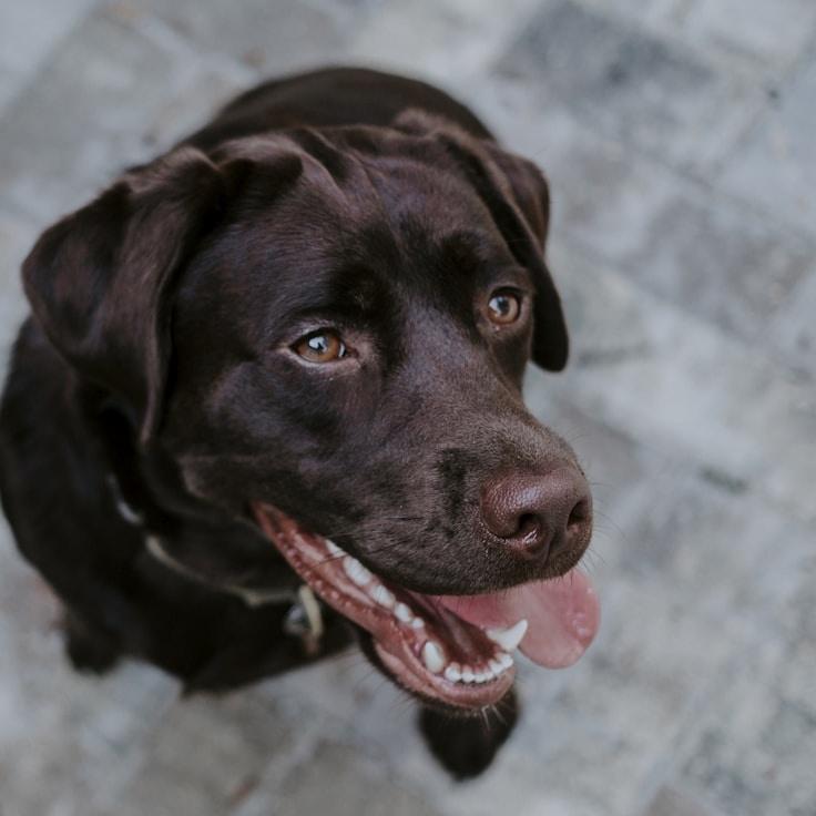 Landscape day trip near Zurich, Switzerland